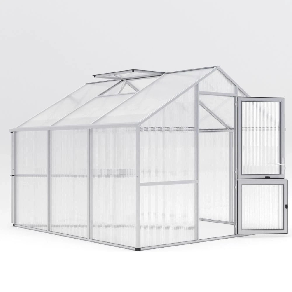 Greenhouse Nelke III, blank