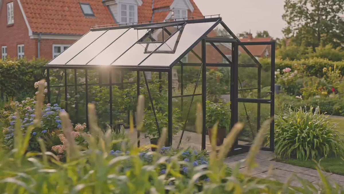 Carica video: 